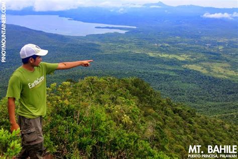 Bahile, Puerto Princesa Profile – PhilAtlas.